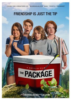 The Package's poster