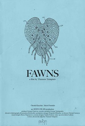 Fawns's poster
