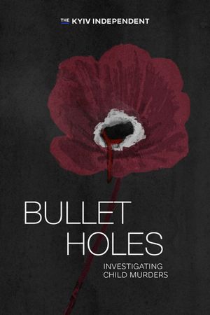 Bullet Holes. Investigating Child Murders's poster