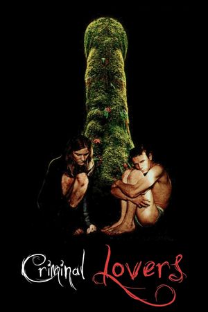 Criminal Lovers's poster