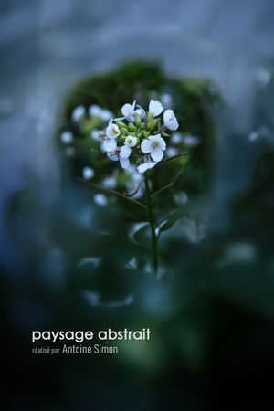 paysage abstrait's poster