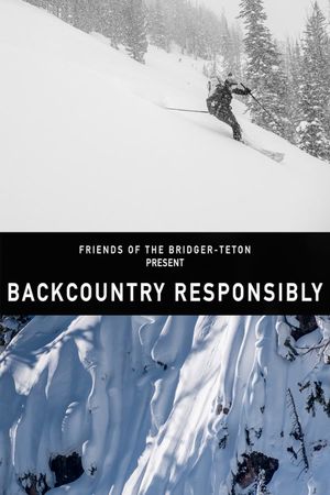 Backcountry Responsibility's poster