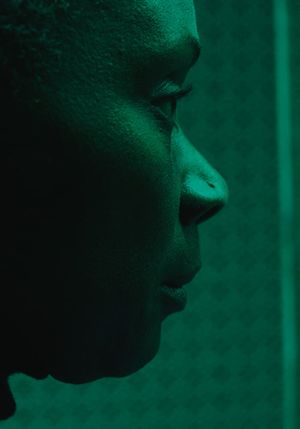 Folly's poster