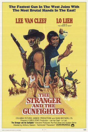 The Stranger and the Gunfighter's poster