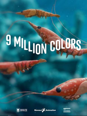 9 Million Colors's poster