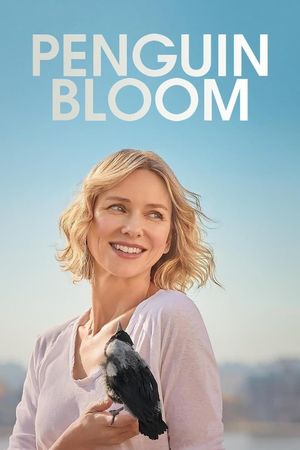 Penguin Bloom's poster