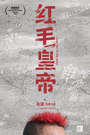 Dancing in the Wind's poster image