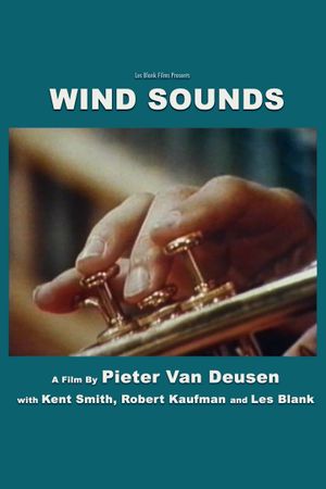 Wind Sounds's poster image