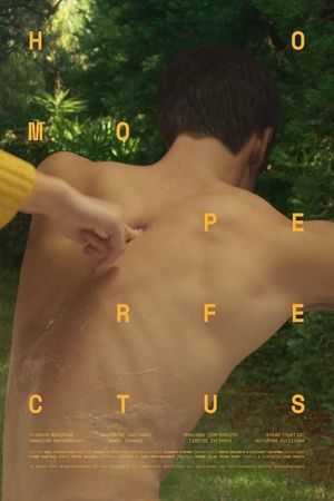 Homo Perfectus's poster image