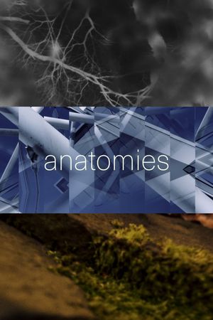 anatomies's poster