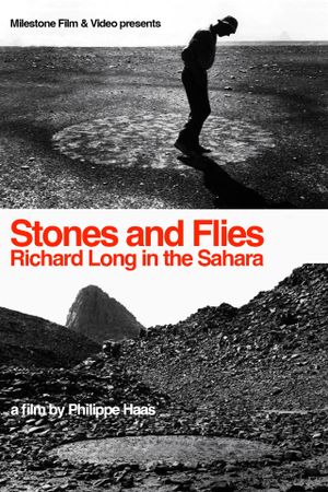 Stones and Flies: Richard Long in the Sahara's poster