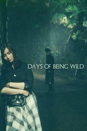 Days of Being Wild's poster