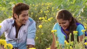 Sairat's poster