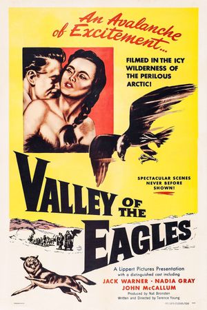 Valley of the Eagles's poster