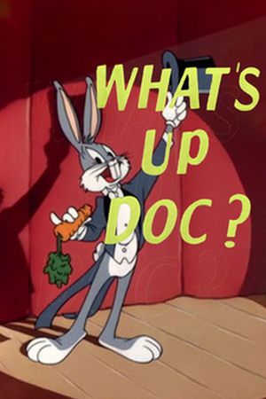 What's Up, Doc ?'s poster