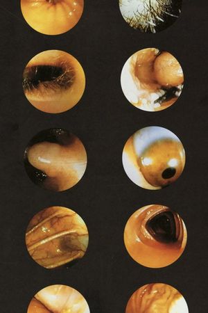 Corps Étranger's poster