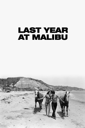 Last Year at Malibu's poster
