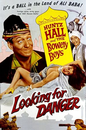 Looking for Danger's poster