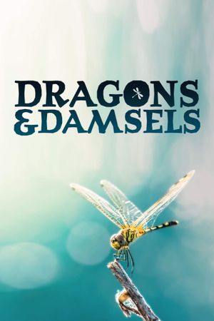 Dragons and Damsels's poster