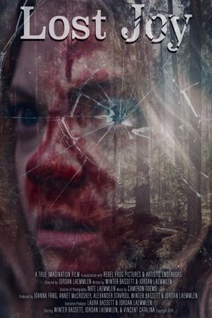 Lost Joy's poster