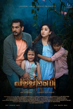 Pallimani's poster