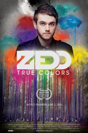 Zedd: True Colors's poster image