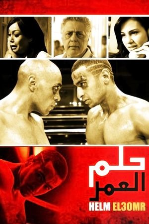 Hilm el-Umr's poster