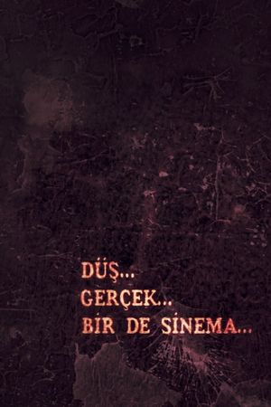 Düş, Gerçek, Bir de Sinema's poster