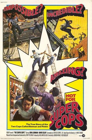 The Super Cops's poster