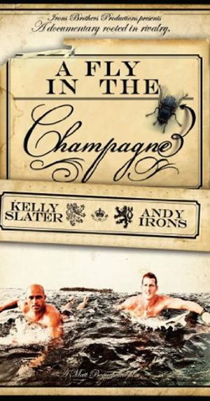 A Fly in the Champagne's poster