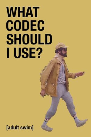 What Codec Should I Use?'s poster