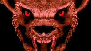 Wolfpeople's poster