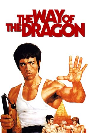 The Way of the Dragon's poster image