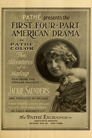 The Adventures of a Madcap's poster