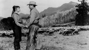The Sheepman's poster