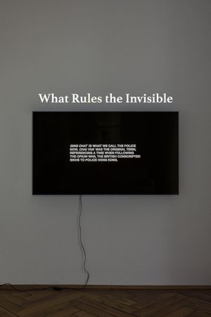 What Rules the Invisible's poster
