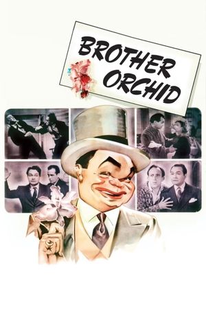 Brother Orchid's poster