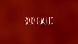 Rojo Guajillo's poster