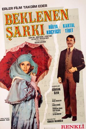Beklenen Sarki's poster