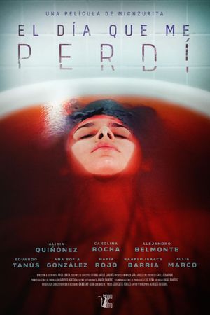 El día que me perdí's poster