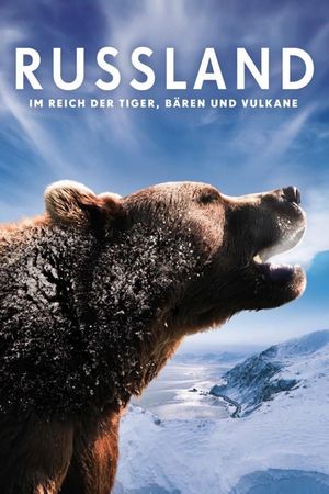 Russland - Im Reich der Tiger, Bären und Vulkane's poster