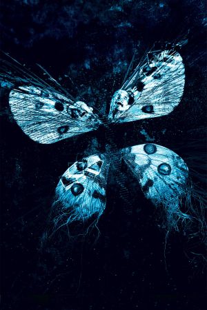 The Butterfly Effect 3: Revelations's poster