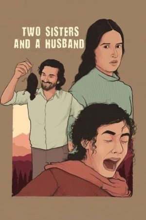 Two Sisters And A Husband's poster