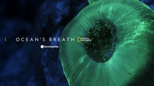 Ocean's Breath's poster