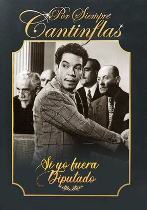 Si yo fuera diputado's poster