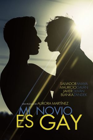 My Boyfriend Is Gay's poster