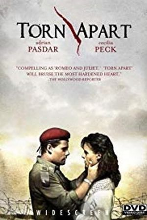 Torn Apart's poster