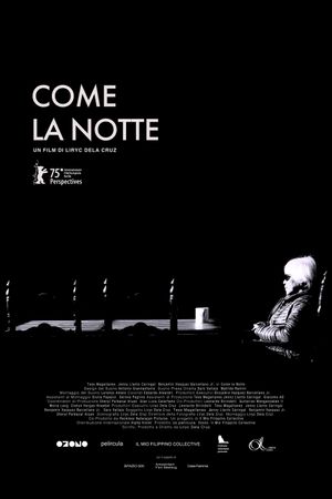 Where the Night Stands Still's poster