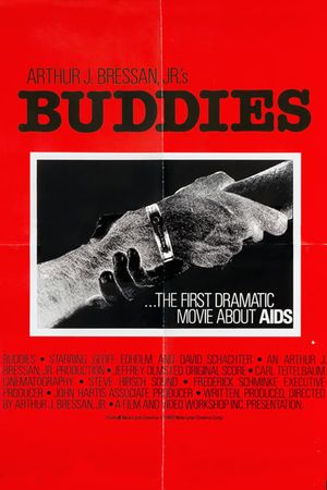 Buddies's poster