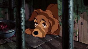 Lady and the Tramp's poster